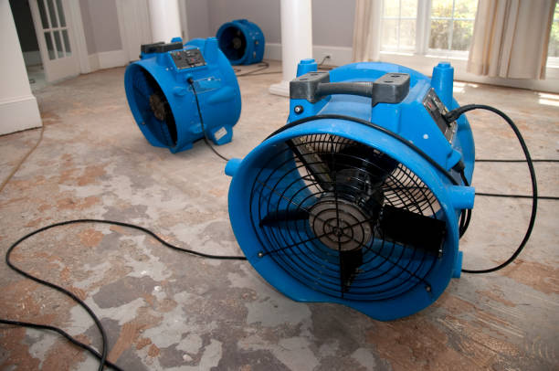 Best Water damage restoration near me  in Redway, CA