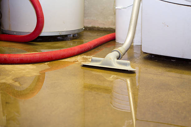 Best 24-hour water damage restoration  in Redway, CA