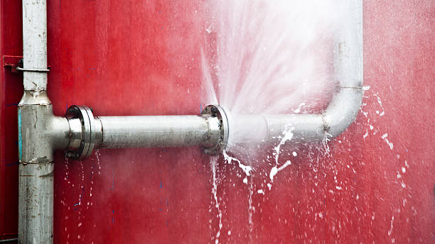 Best Water damage contractors near me  in Redway, CA